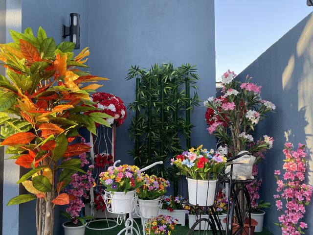 place photo 41