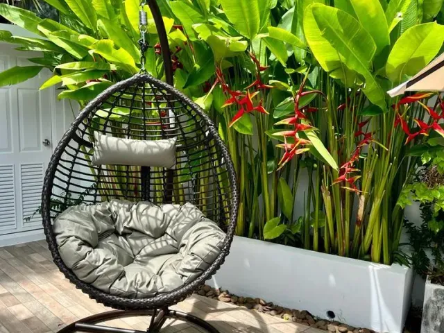 place photo 22