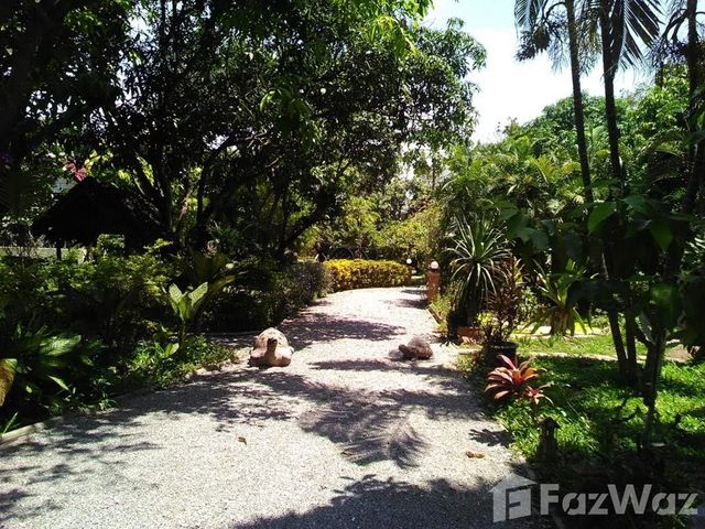 place photo 33