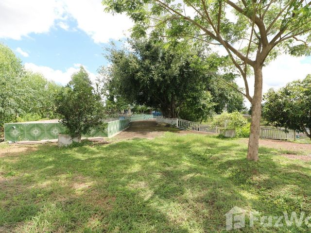 place photo 64