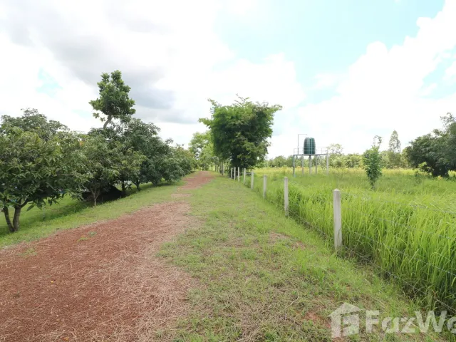 place photo 63
