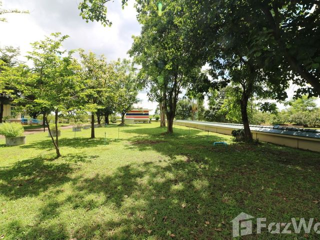 place photo 57