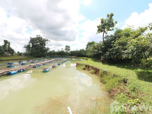 place photo 62