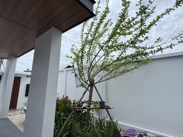 place photo 42