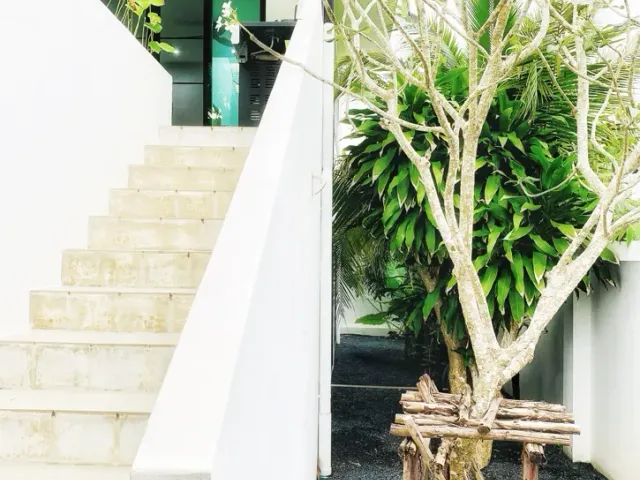 place photo 23