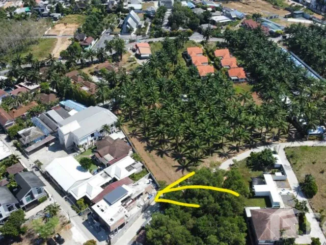 place photo 19