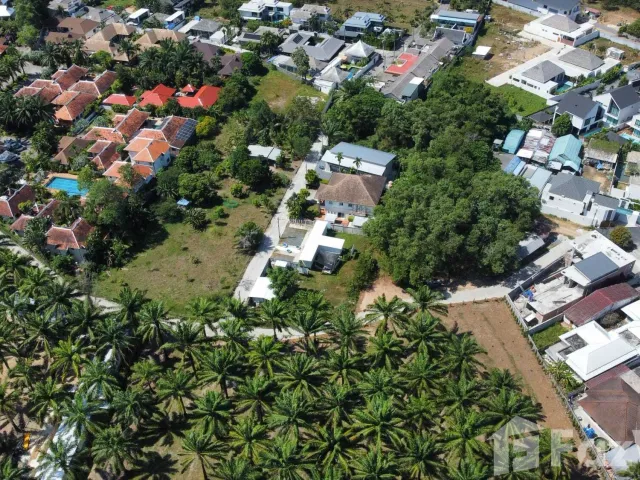 place photo 20
