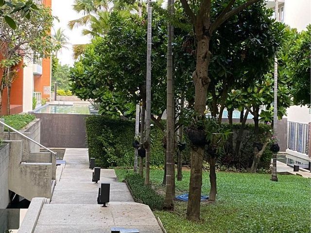 place photo 14