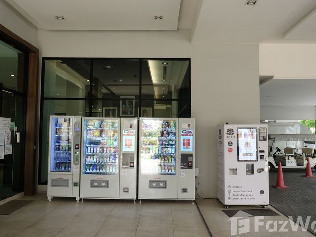 place photo 19