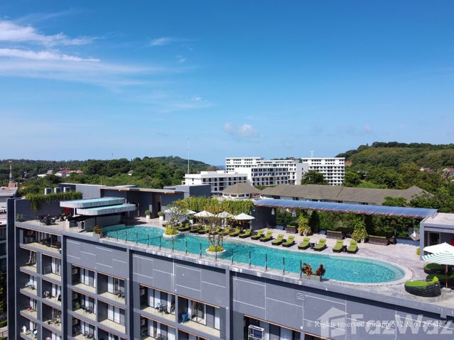 place photo 17