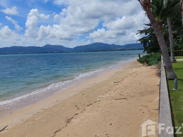 place photo 39