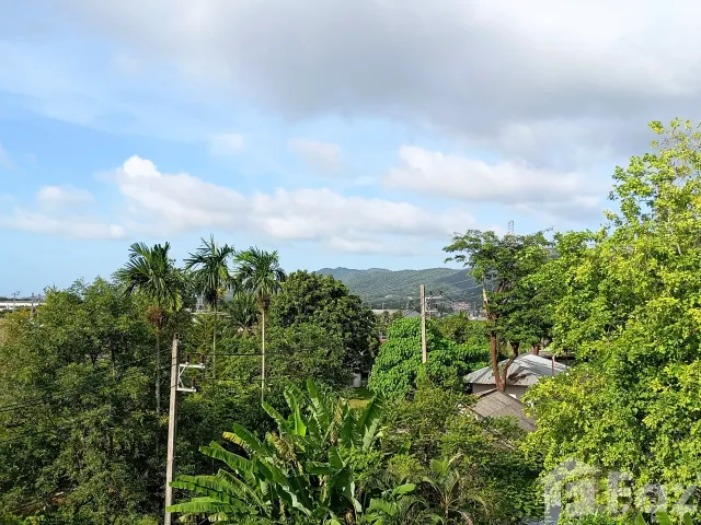 place photo 42