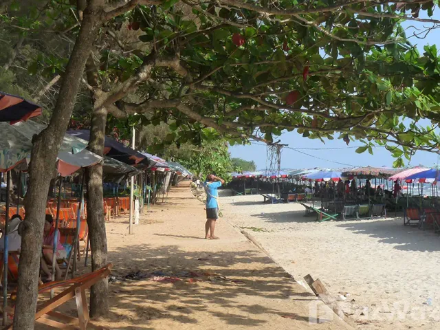 place photo 39