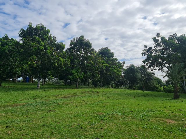 place photo 23