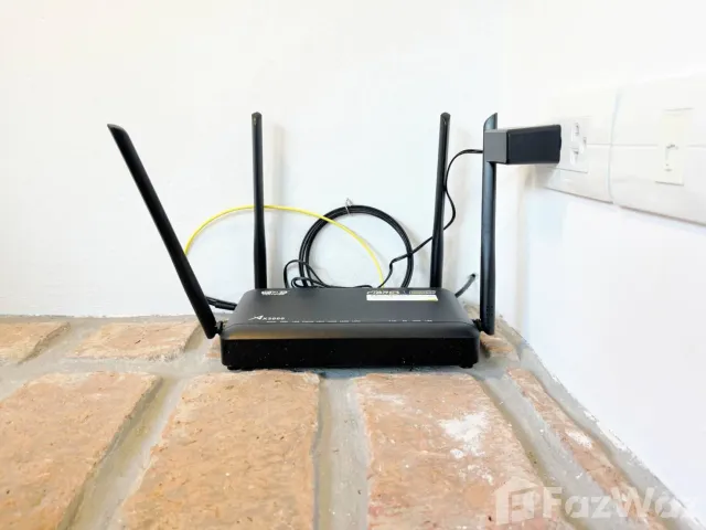 place photo 34
