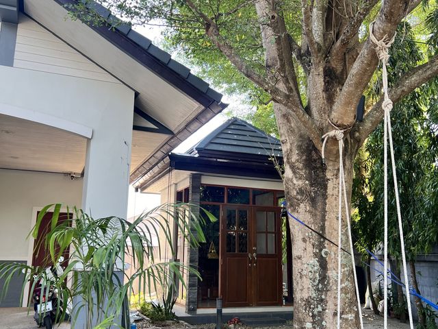 place photo 42