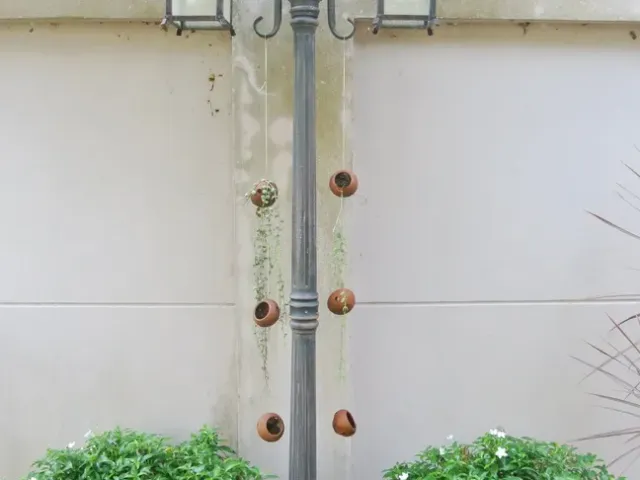 place photo 20