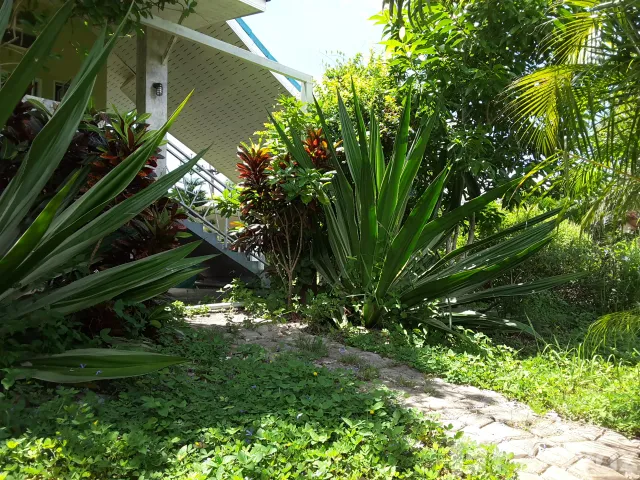 place photo 15