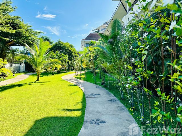 place photo 24
