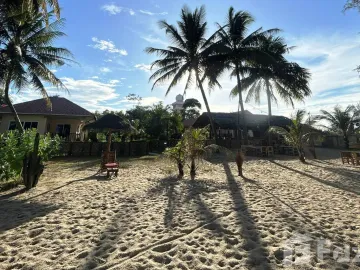 place photo 37