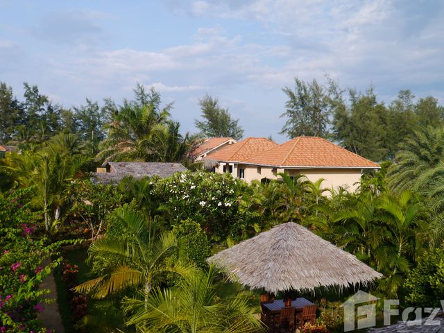 place photo 17