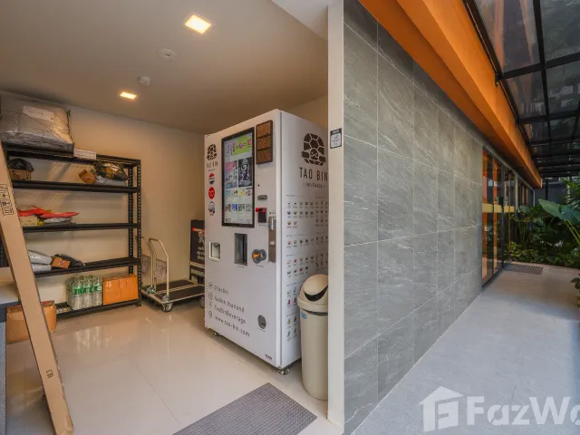place photo 36