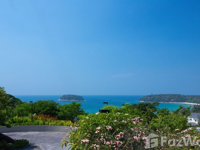 place photo 28