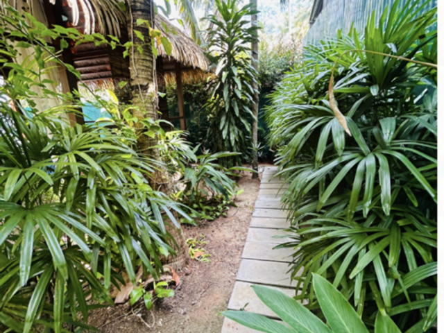 place photo 29
