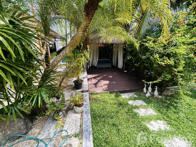 place photo 31