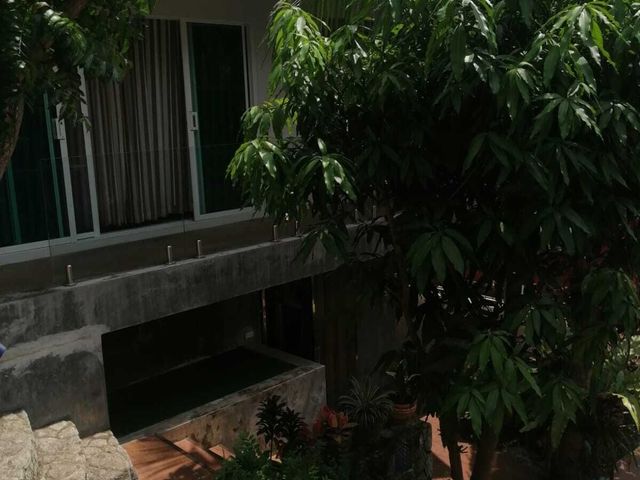 place photo 32