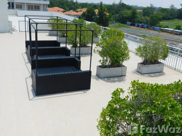 place photo 36