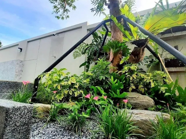 place photo 17