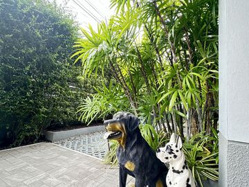 place photo 34