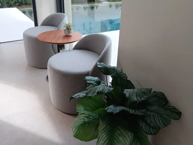 place photo 33