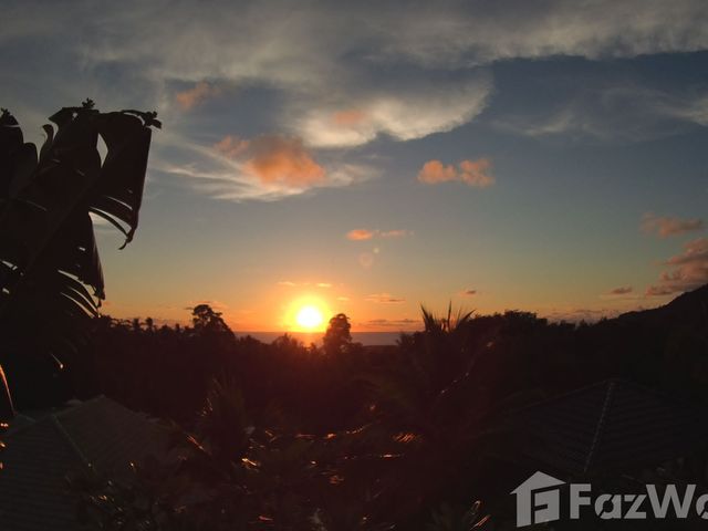 place photo 46