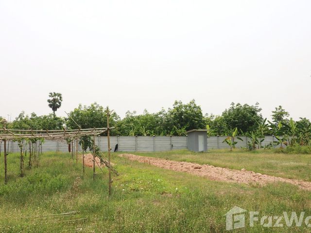 place photo 63