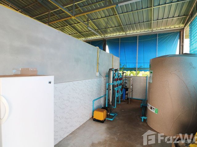 place photo 56