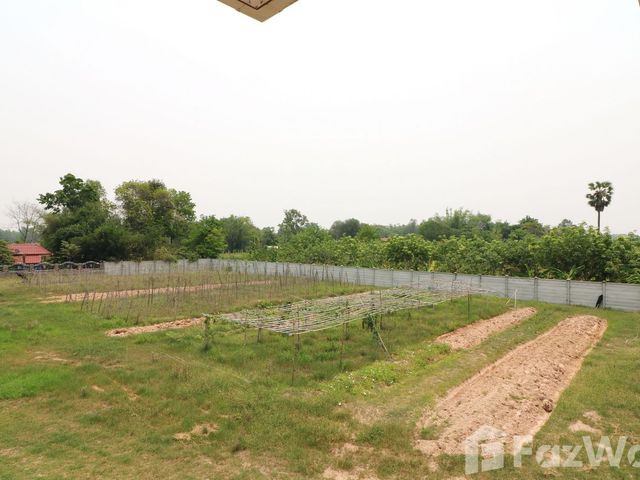 place photo 30