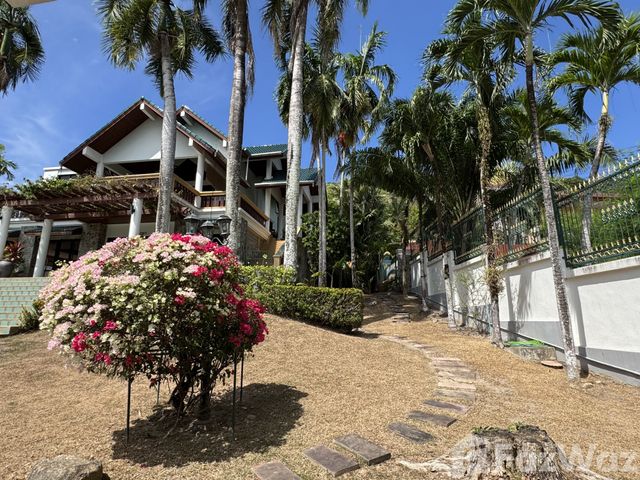 place photo 38
