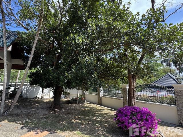 place photo 39