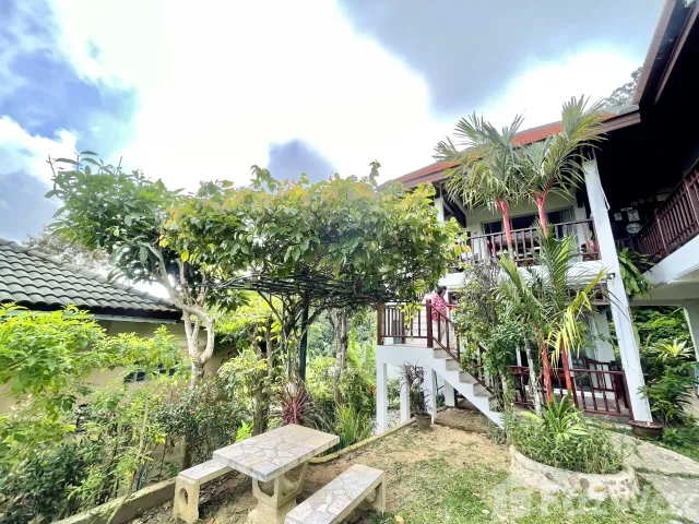 place photo 28