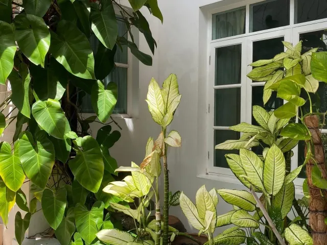 place photo 31