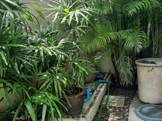 place photo 33