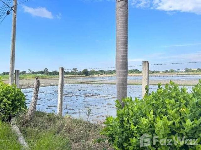 place photo 17