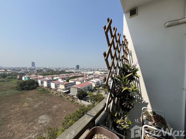 place photo 15