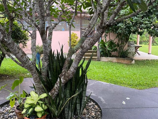 place photo 29