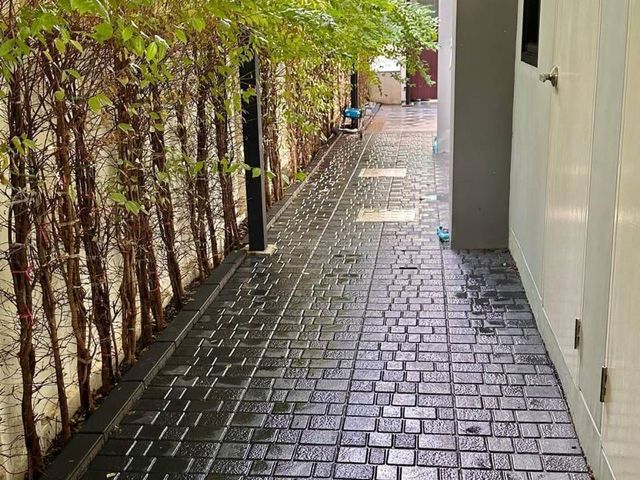 place photo 41