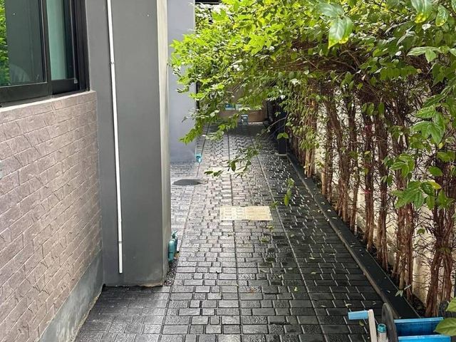 place photo 44