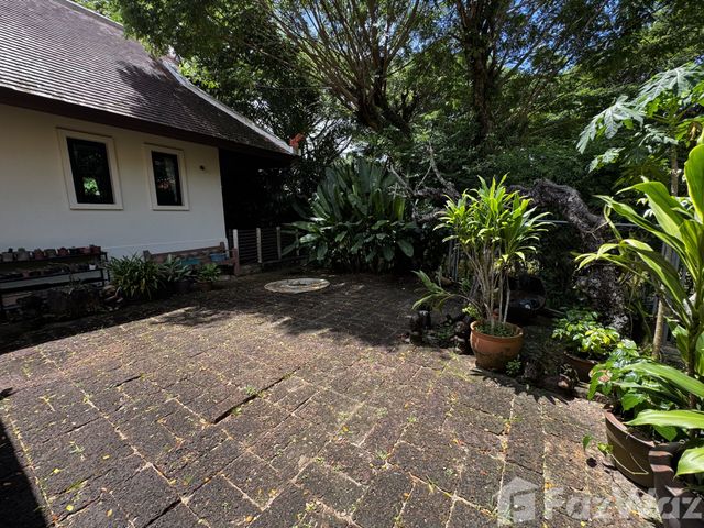 place photo 45