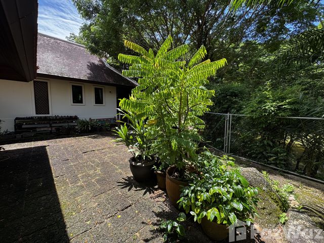 place photo 44